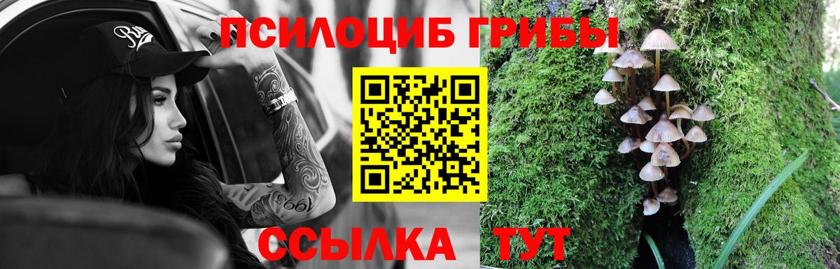 Сызрань  Псилоцибиновые грибы MAGIC MUSHROOMS  Вход с VPN 